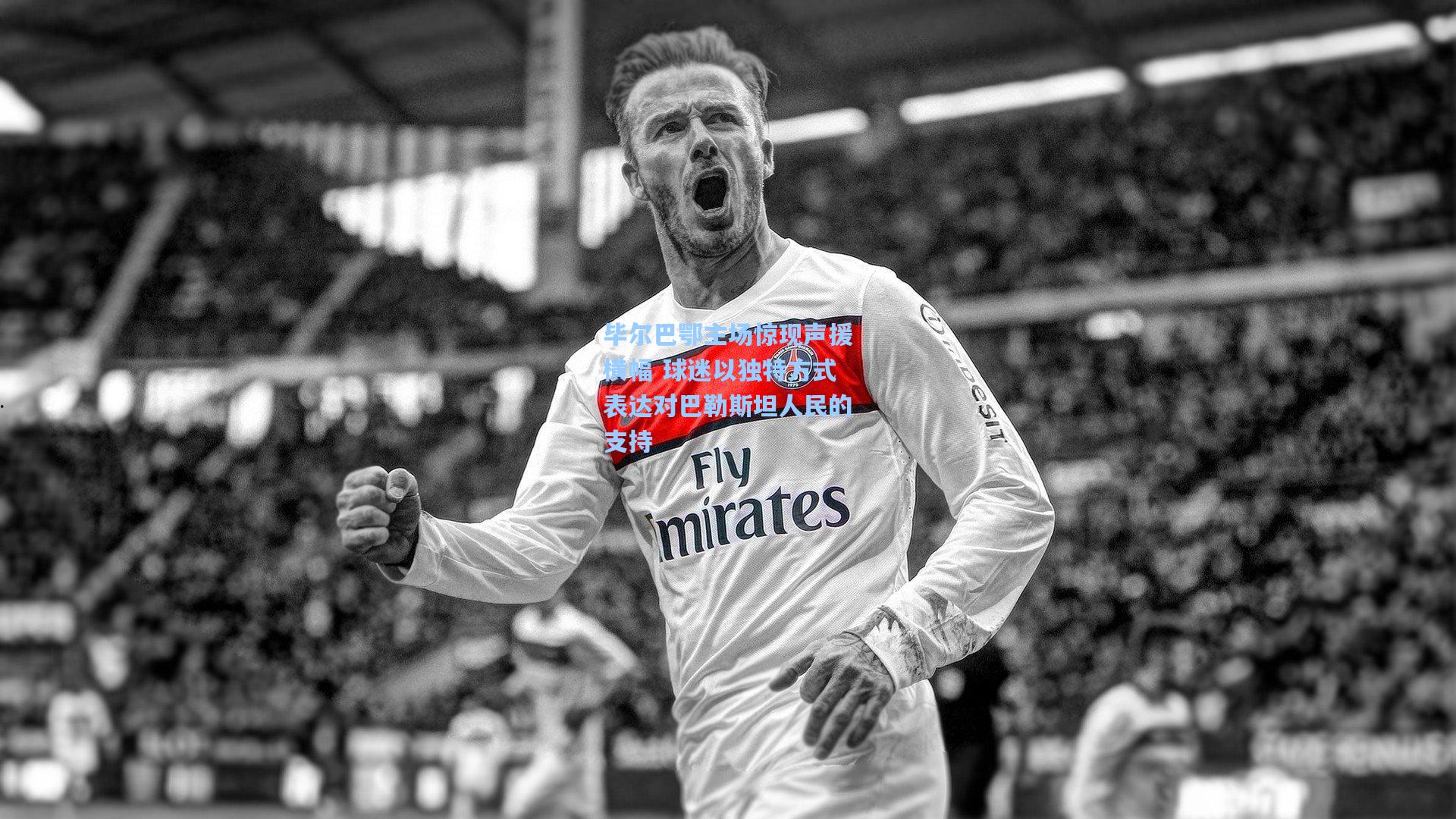 毕尔巴鄂主场惊现声援横幅 球迷以独特方式表达对巴勒斯坦人民的支持